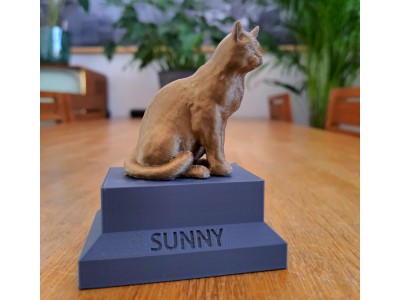 Sunny 3D Print